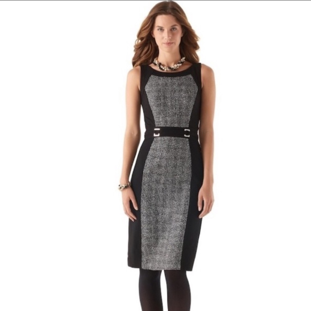 WHBM Color Block Tweed and Ponte Dress 6